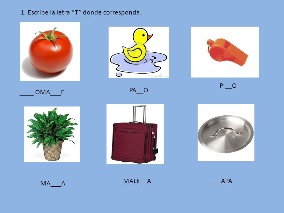 1. Escribe la letra T donde corresponda.