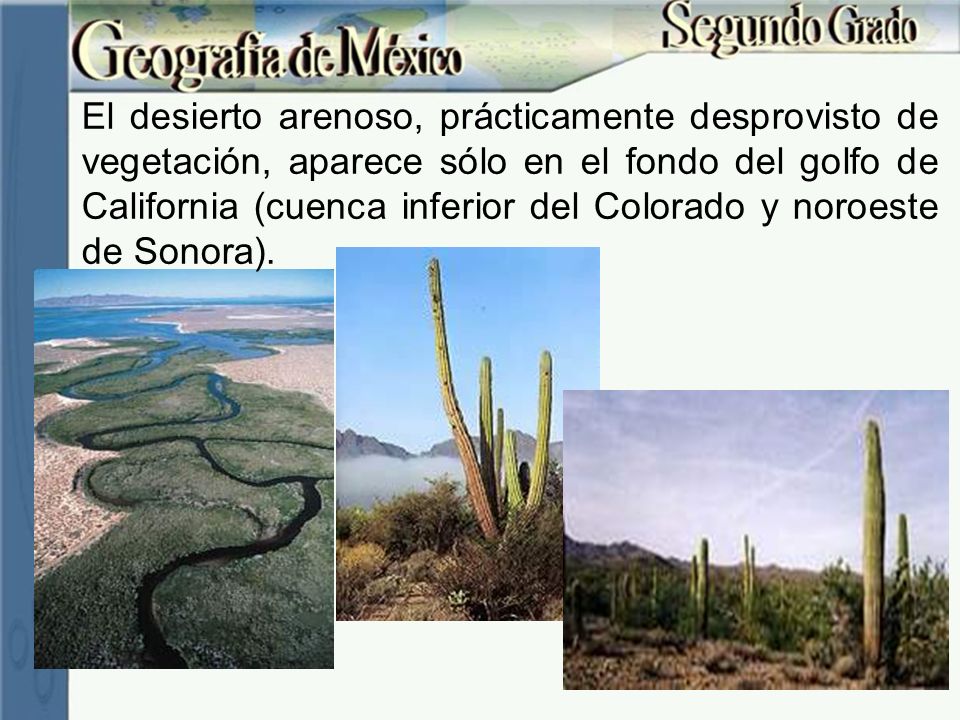 El desierto arenoso, prácticamente desprovisto de vegetación, aparece sólo en el fondo del golfo de California (cuenca inferior del Colorado y noroeste de Sonora).
