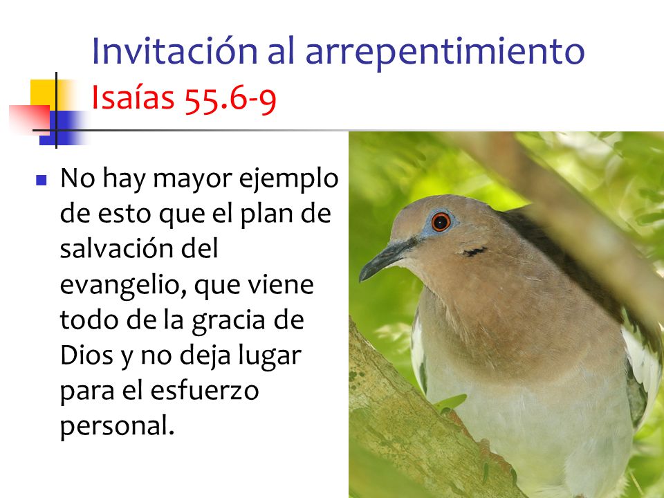 Invitación al arrepentimiento Isaías