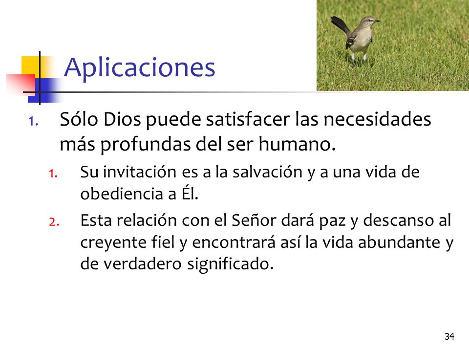 Aplicaciones Sólo Dios puede satisfacer las necesidades más profundas del ser humano.