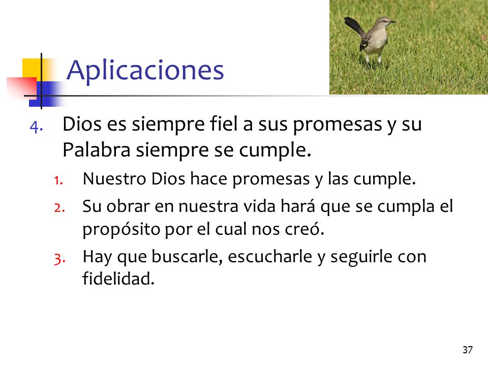Aplicaciones Dios es siempre fiel a sus promesas y su Palabra siempre se cumple. Nuestro Dios hace promesas y las cumple.