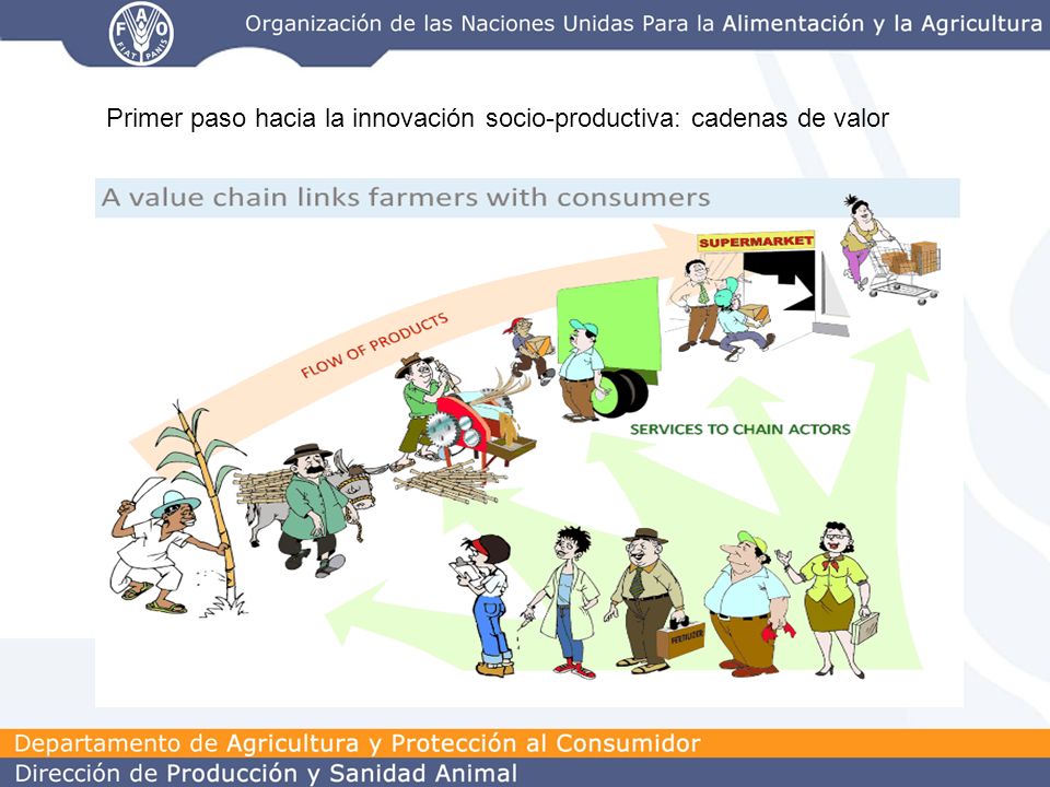 Primer paso hacia la innovación socio-productiva: cadenas de valor