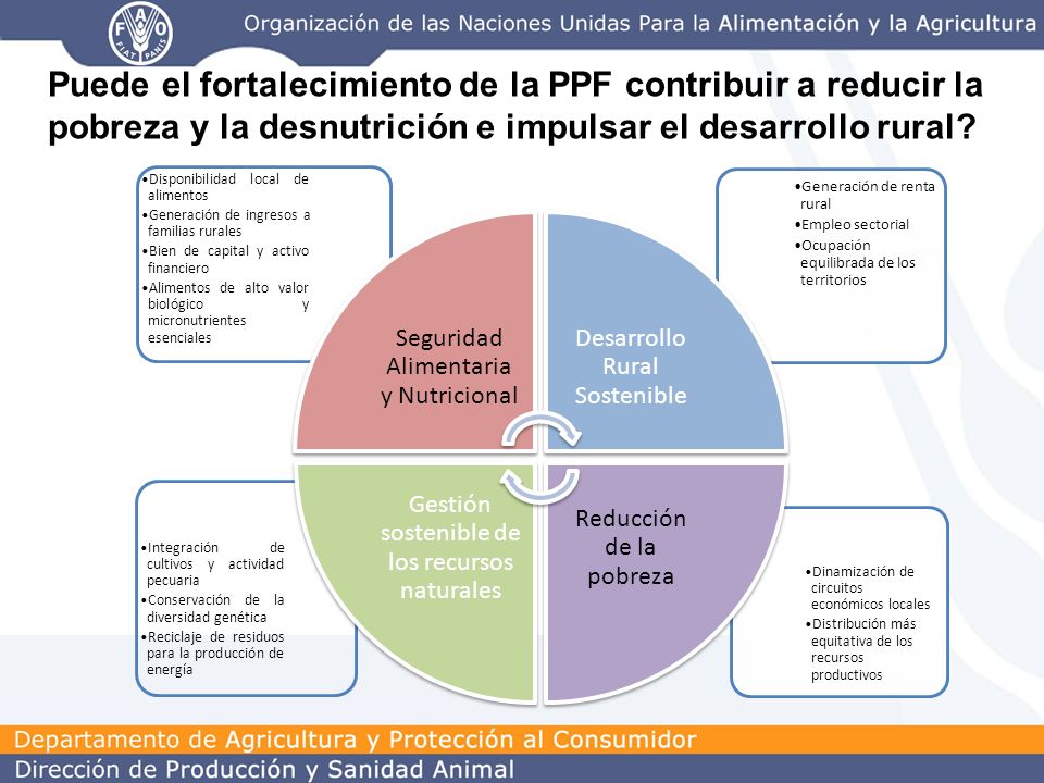 Puede el fortalecimiento de la PPF contribuir a reducir la pobreza y la desnutrición e impulsar el desarrollo rural