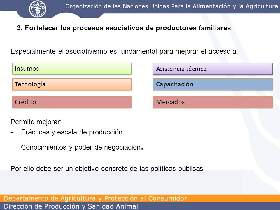 3. Fortalecer los procesos asociativos de productores familiares