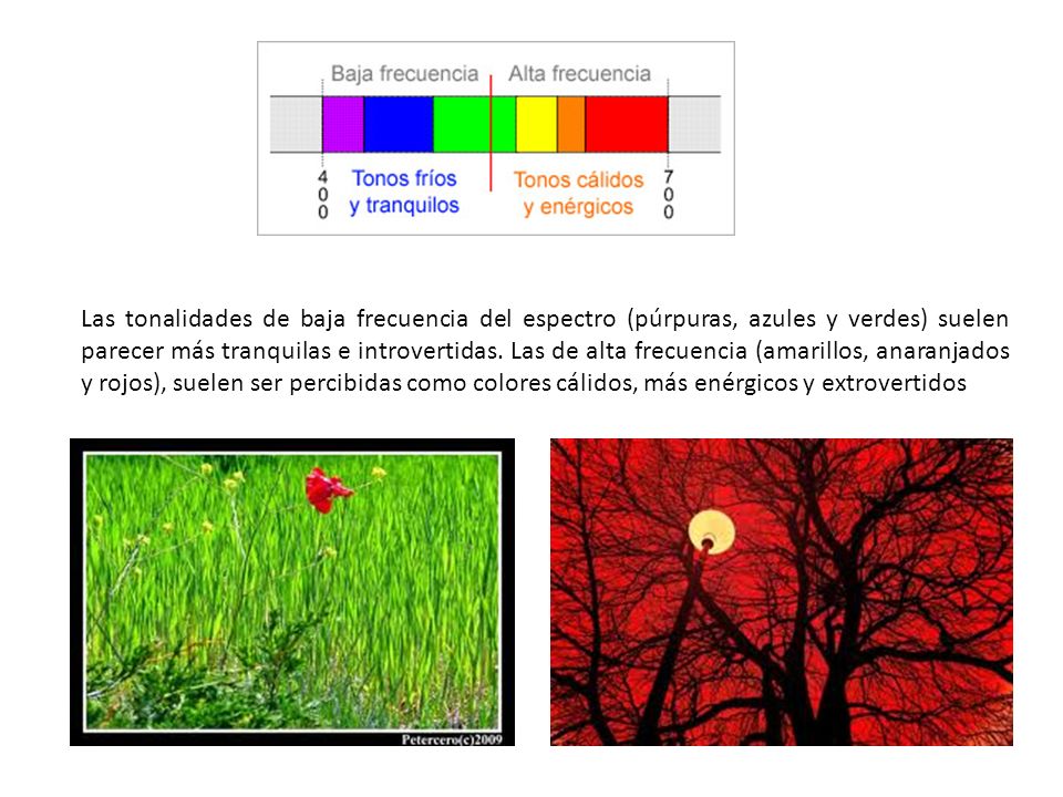 Las tonalidades de baja frecuencia del espectro (púrpuras, azules y verdes) suelen parecer más tranquilas e introvertidas.