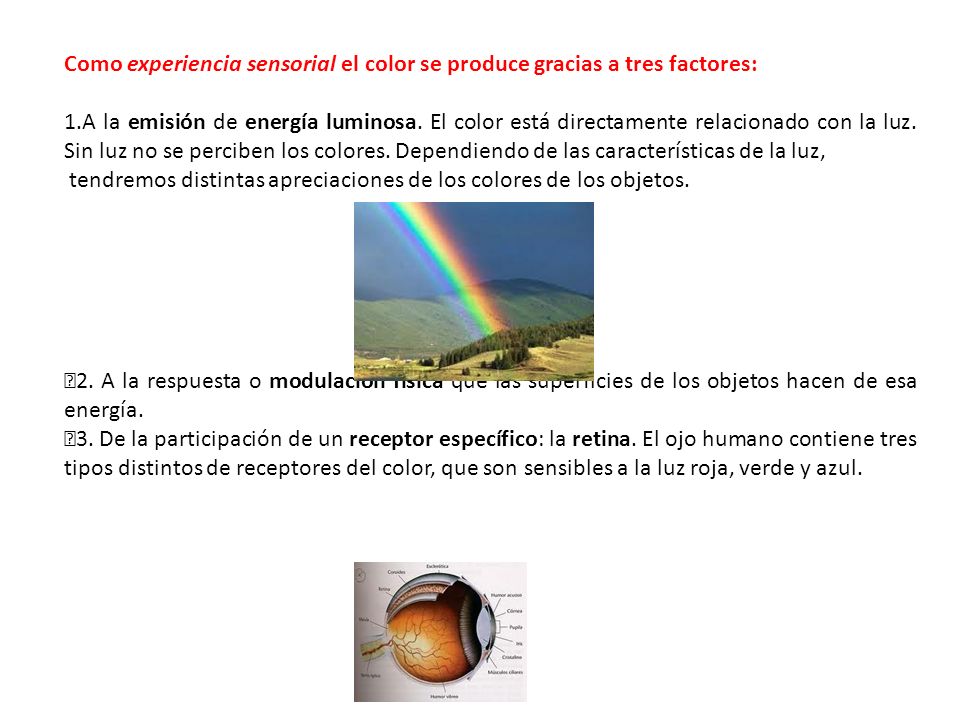 Como experiencia sensorial el color se produce gracias a tres factores: