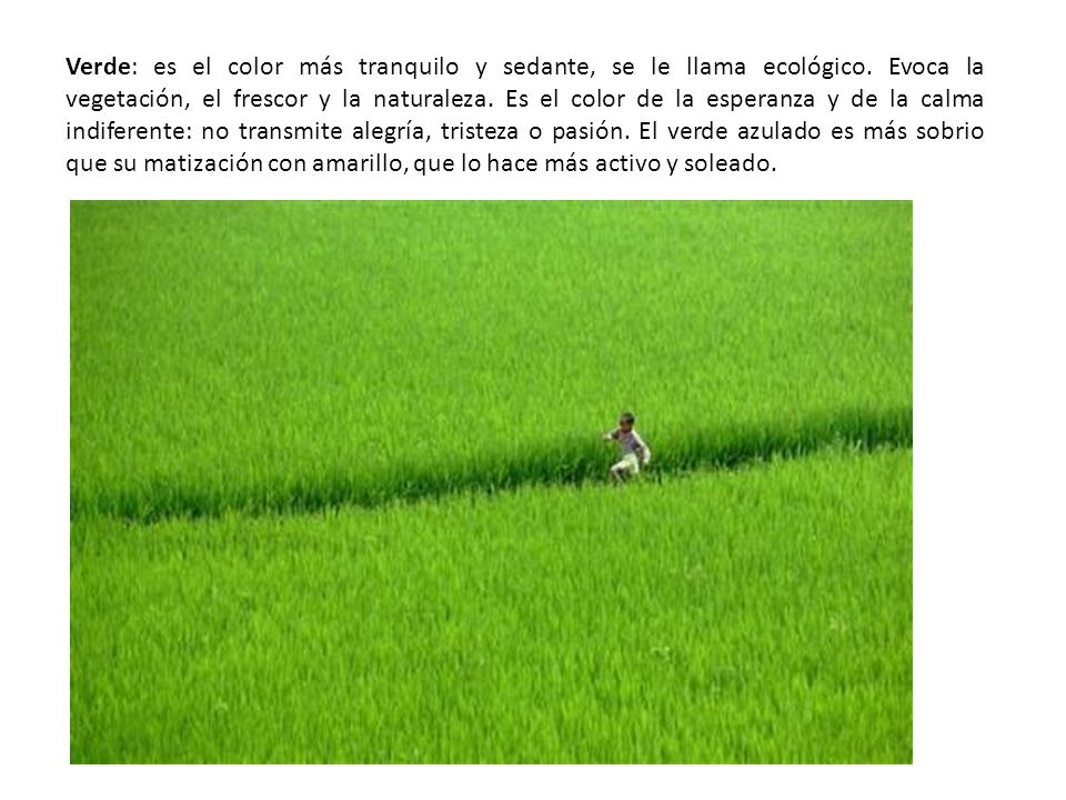 Verde: es el color más tranquilo y sedante, se le llama ecológico
