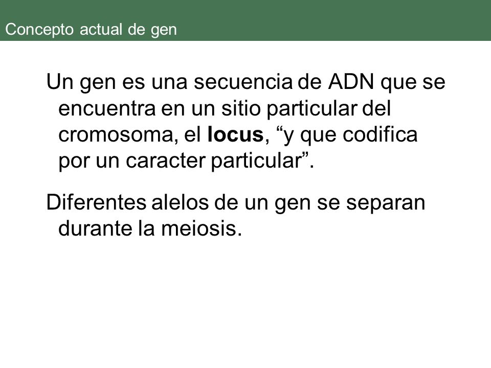 Diferentes alelos de un gen se separan durante la meiosis.