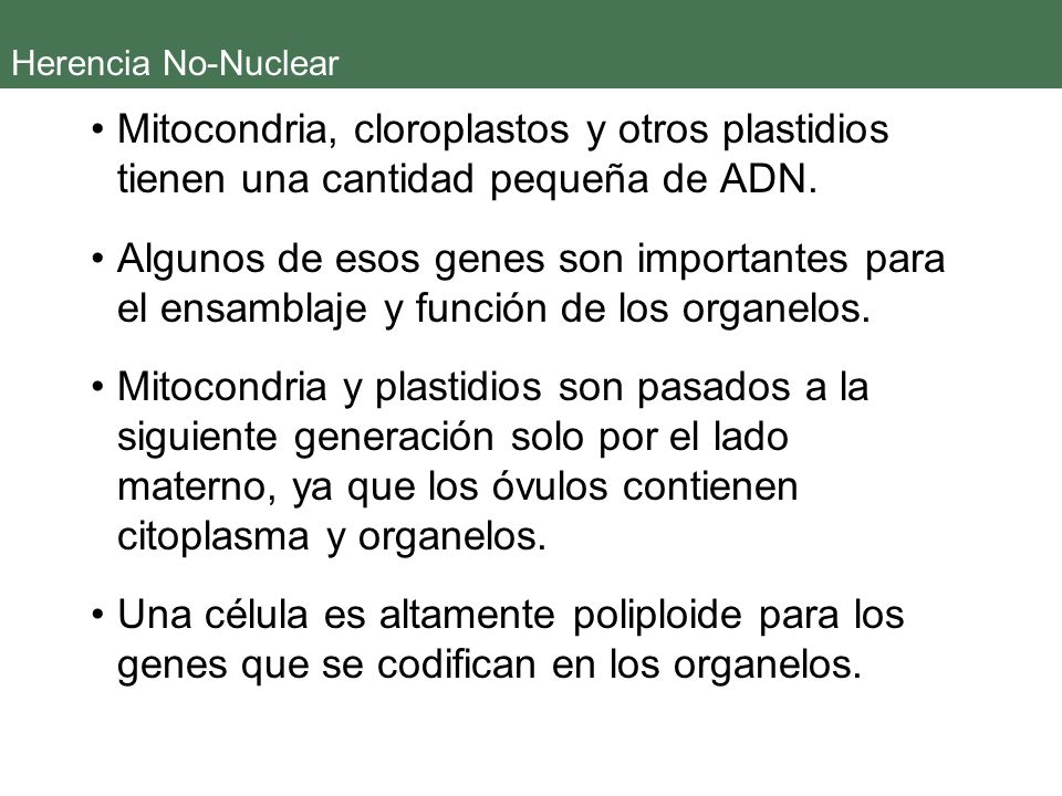 Herencia No-Nuclear Mitocondria, cloroplastos y otros plastidios tienen una cantidad pequeña de ADN.