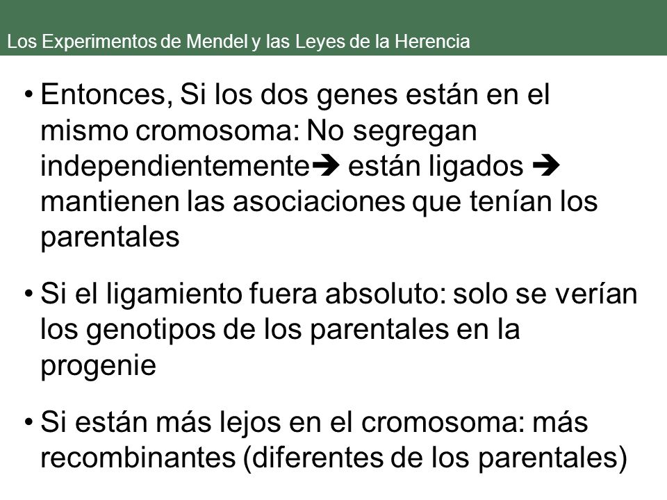 Los Experimentos de Mendel y las Leyes de la Herencia