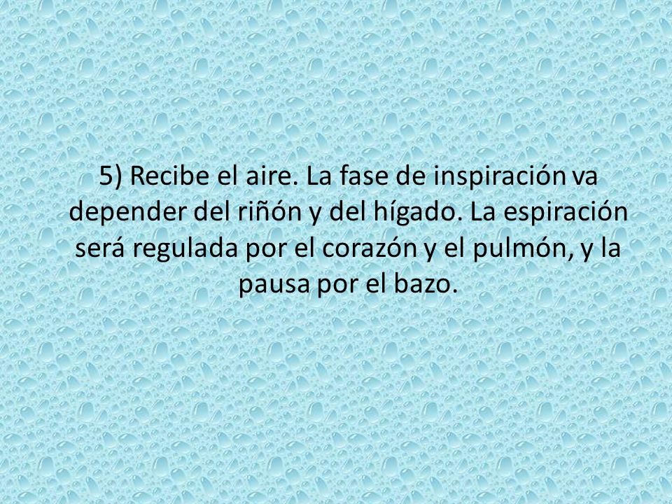 5) Recibe el aire. La fase de inspiración va depender del riñón y del hígado.