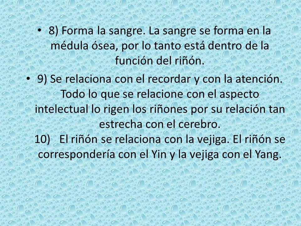 8) Forma la sangre. La sangre se forma en la médula ósea, por lo tanto está dentro de la función del riñón.