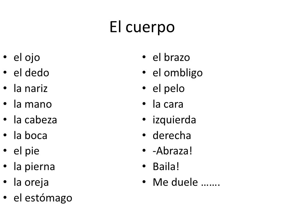 El cuerpo el ojo el brazo el dedo el ombligo la nariz el pelo la mano