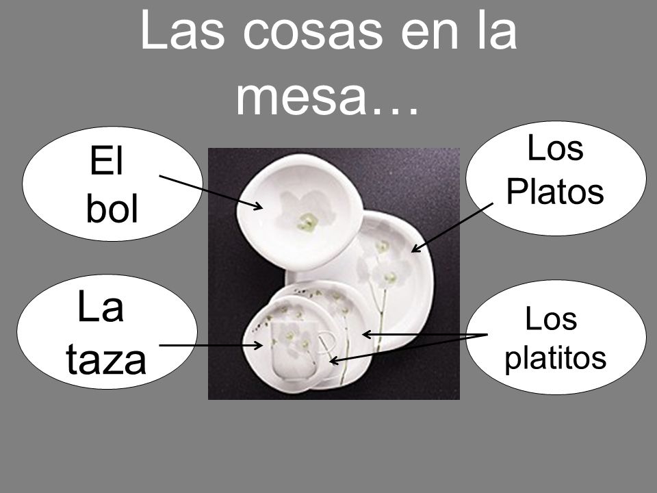 Las cosas en la mesa… Los Platos El bol La taza Los platitos