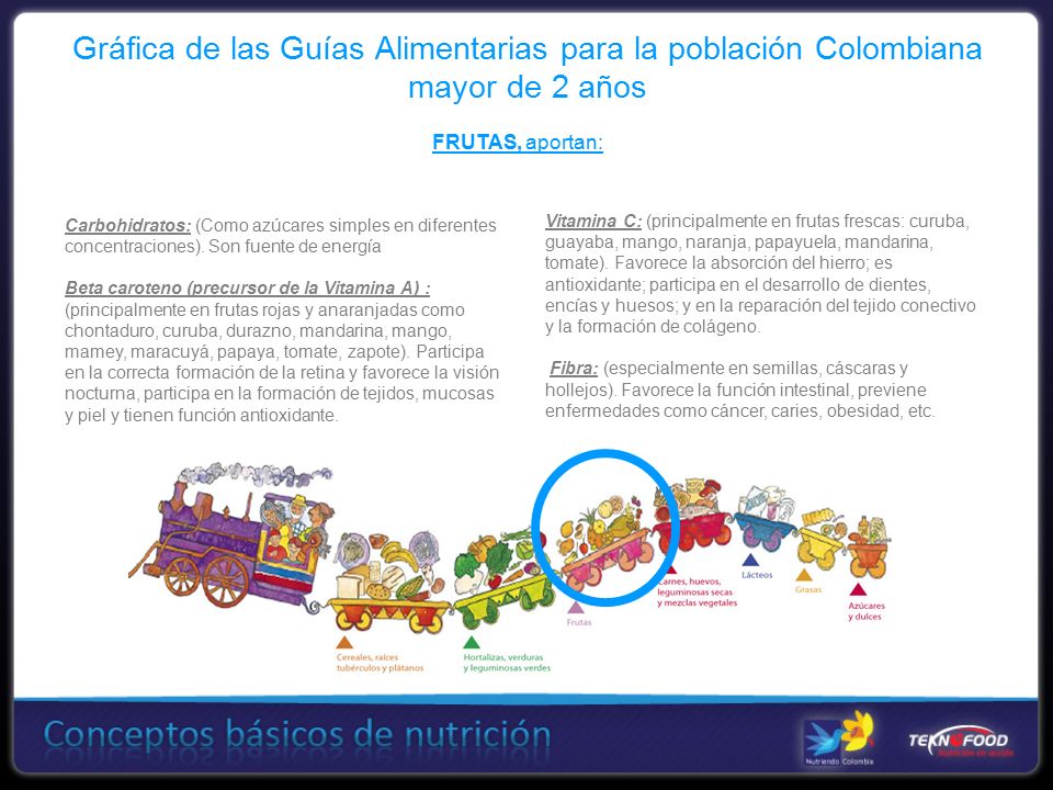 Gráfica de las Guías Alimentarias para la población Colombiana mayor de 2 años