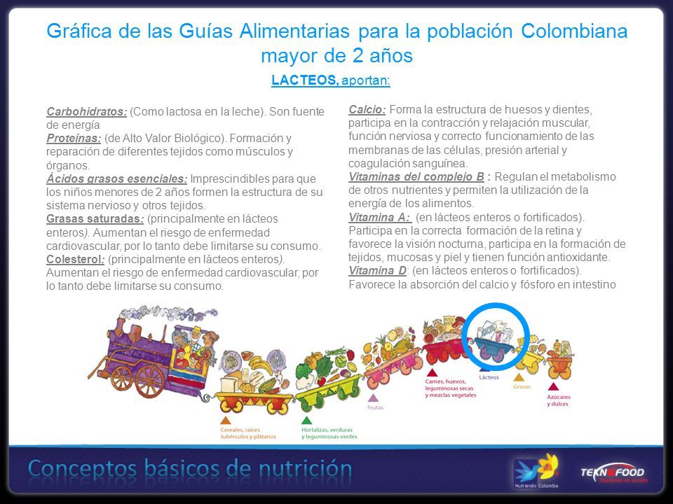 Gráfica de las Guías Alimentarias para la población Colombiana mayor de 2 años