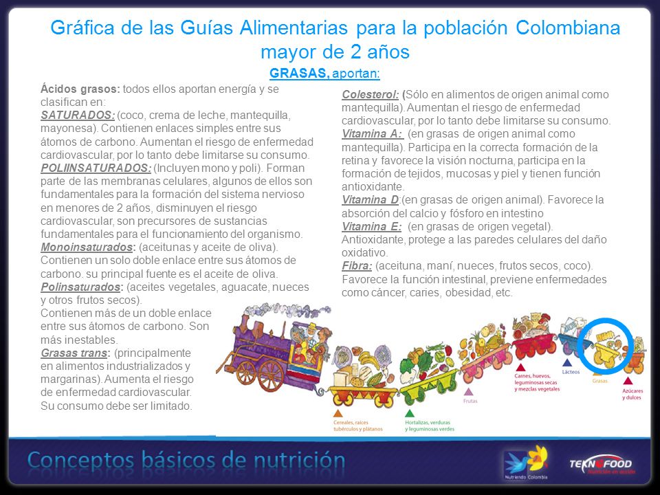 Gráfica de las Guías Alimentarias para la población Colombiana mayor de 2 años