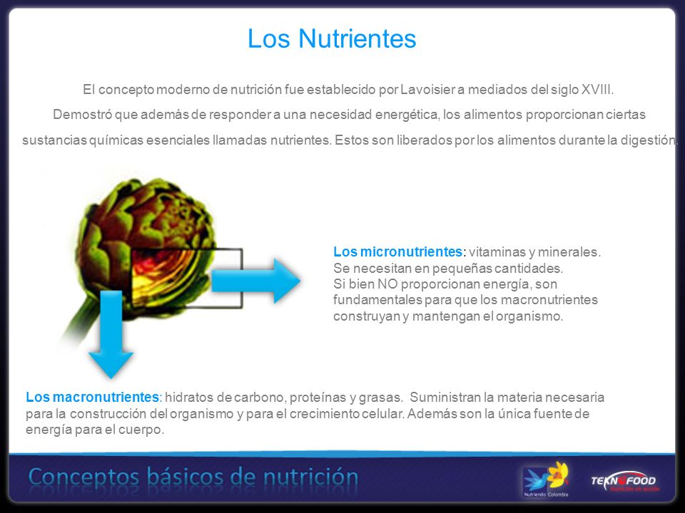 Los Nutrientes El concepto moderno de nutrición fue establecido por Lavoisier a mediados del siglo XVIII.