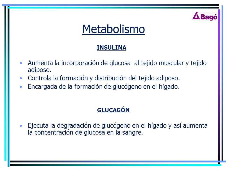 Metabolismo INSULINA. Aumenta la incorporación de glucosa al tejido muscular y tejido adiposo.