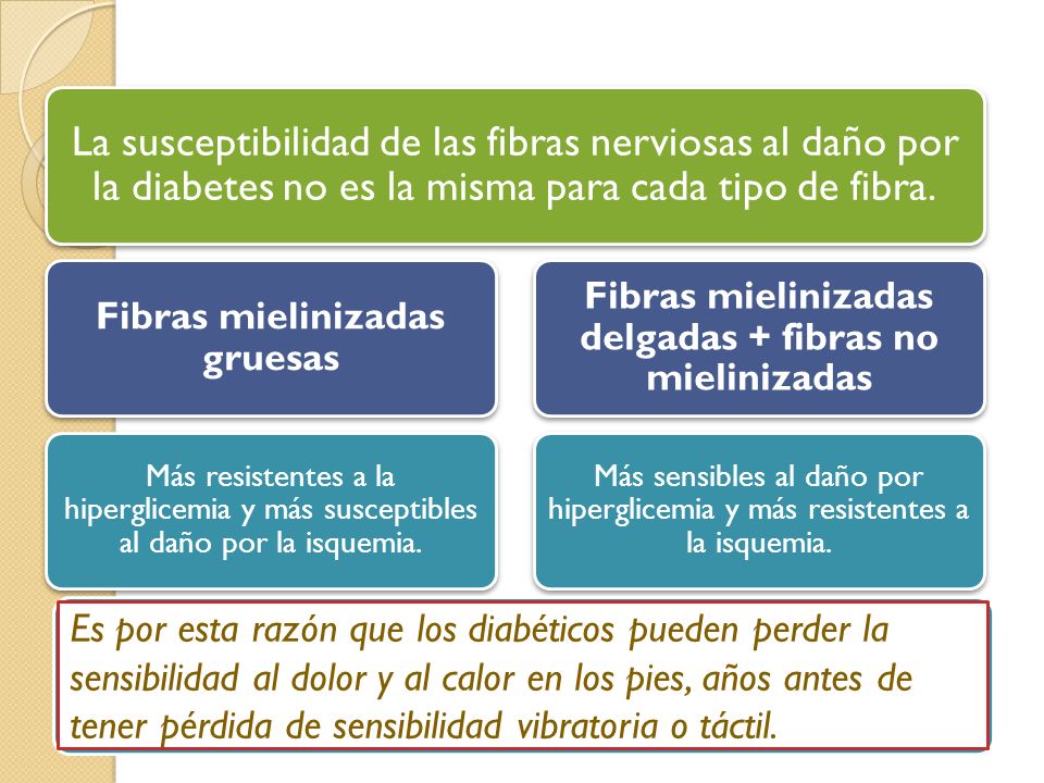 La susceptibilidad de las fibras nerviosas al daño por la diabetes no es la misma para cada tipo de fibra.