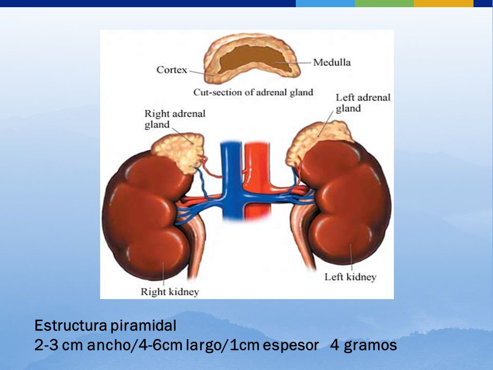 Estructura piramidal 2-3 cm ancho/4-6cm largo/1cm espesor 4 gramos