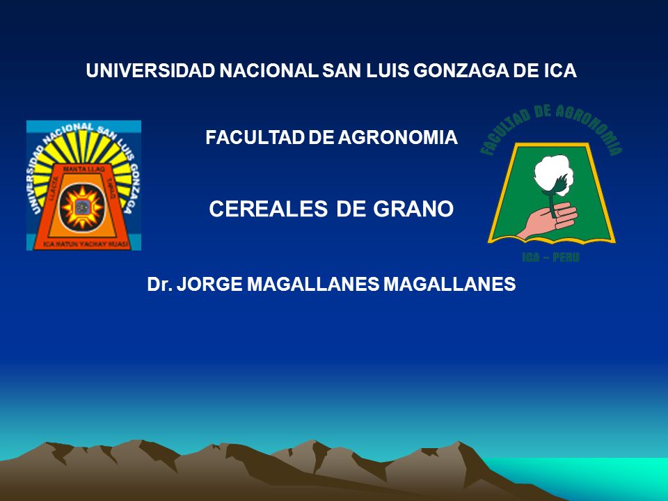 CEREALES DE GRANO UNIVERSIDAD NACIONAL SAN LUIS GONZAGA DE ICA