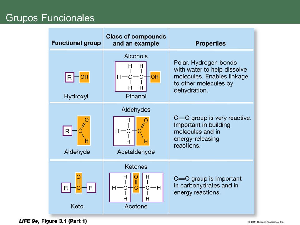 Grupos Funcionales Cuales son los mas polares, busque enlaces C-O, N-H, P-O.