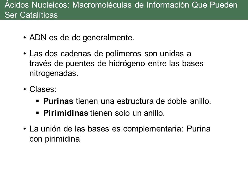 Ácidos Nucleicos: Macromoléculas de Información Que Pueden Ser Catalíticas