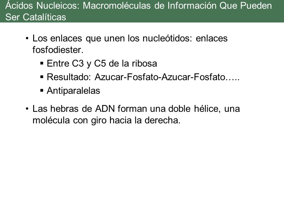 Ácidos Nucleicos: Macromoléculas de Información Que Pueden Ser Catalíticas