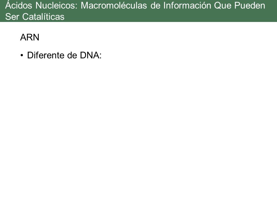 Ácidos Nucleicos: Macromoléculas de Información Que Pueden Ser Catalíticas