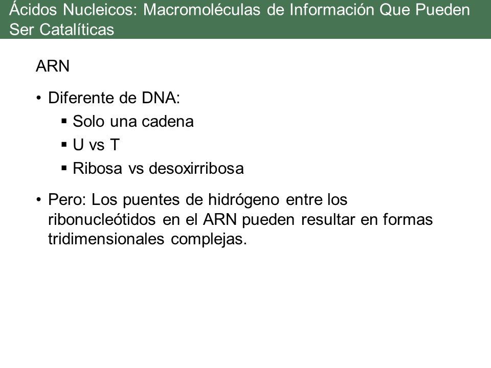 Ácidos Nucleicos: Macromoléculas de Información Que Pueden Ser Catalíticas
