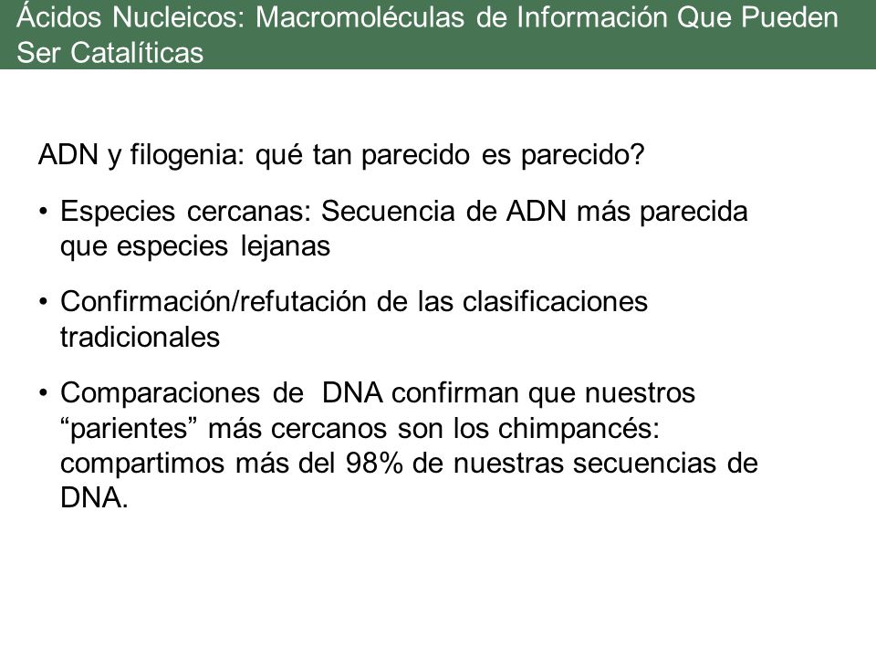 Ácidos Nucleicos: Macromoléculas de Información Que Pueden Ser Catalíticas