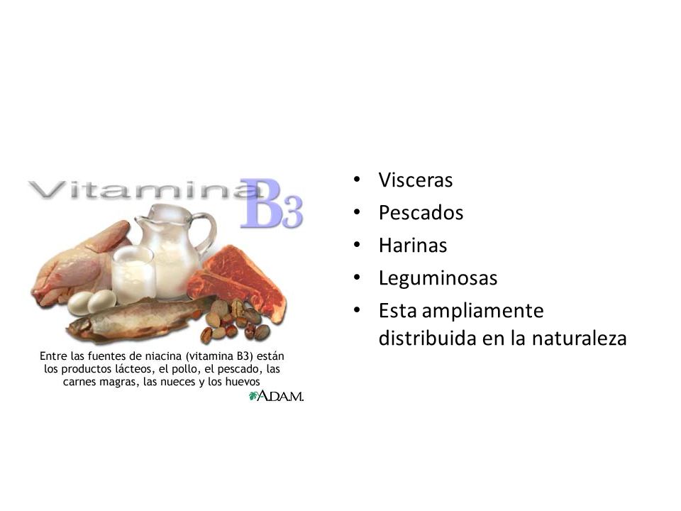 Visceras Pescados Harinas Leguminosas Esta ampliamente distribuida en la naturaleza