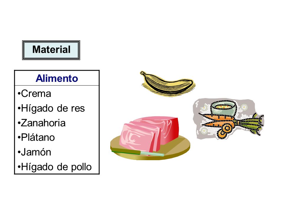 Material Alimento Crema Hígado de res Zanahoria Plátano Jamón Hígado de pollo