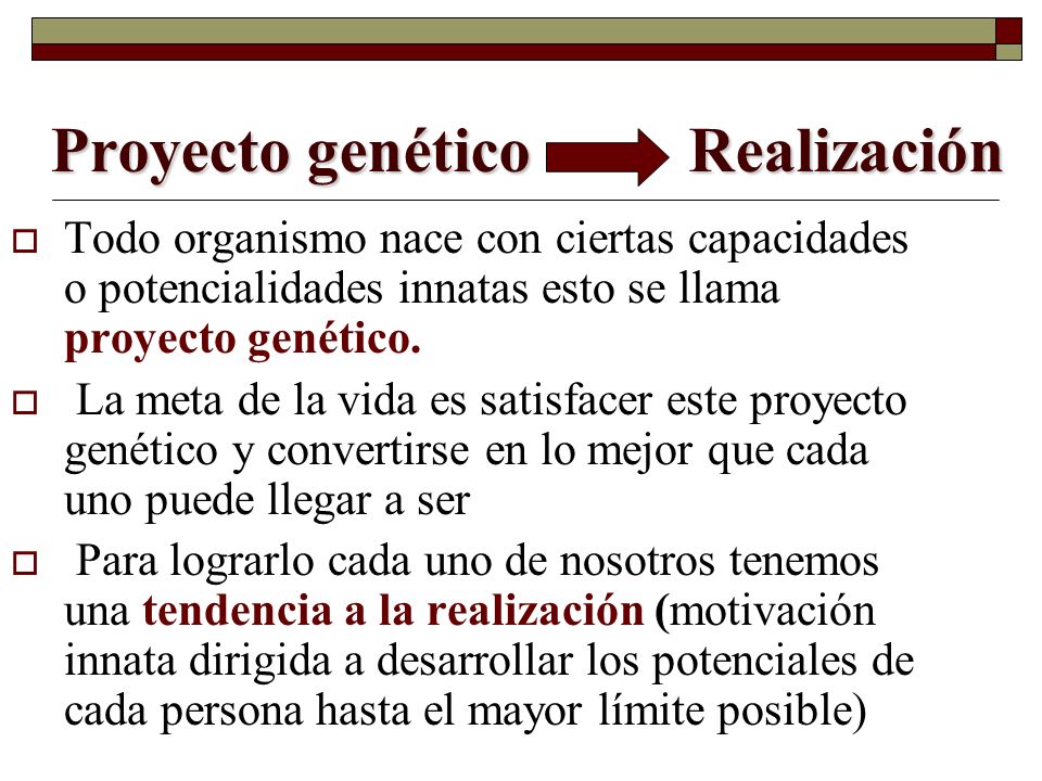 Proyecto genético Realización