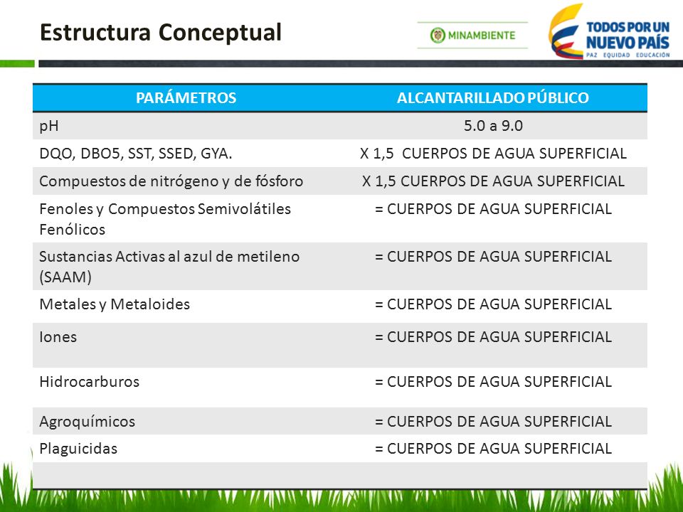 Estructura Conceptual