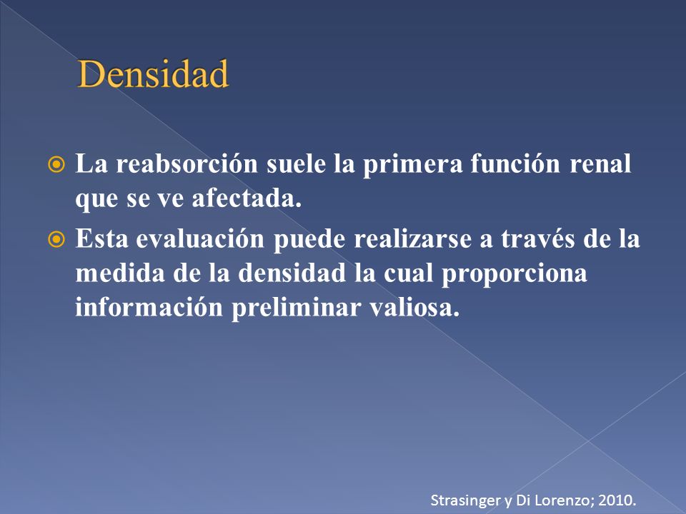La reabsorción suele la primera función renal que se ve afectada.