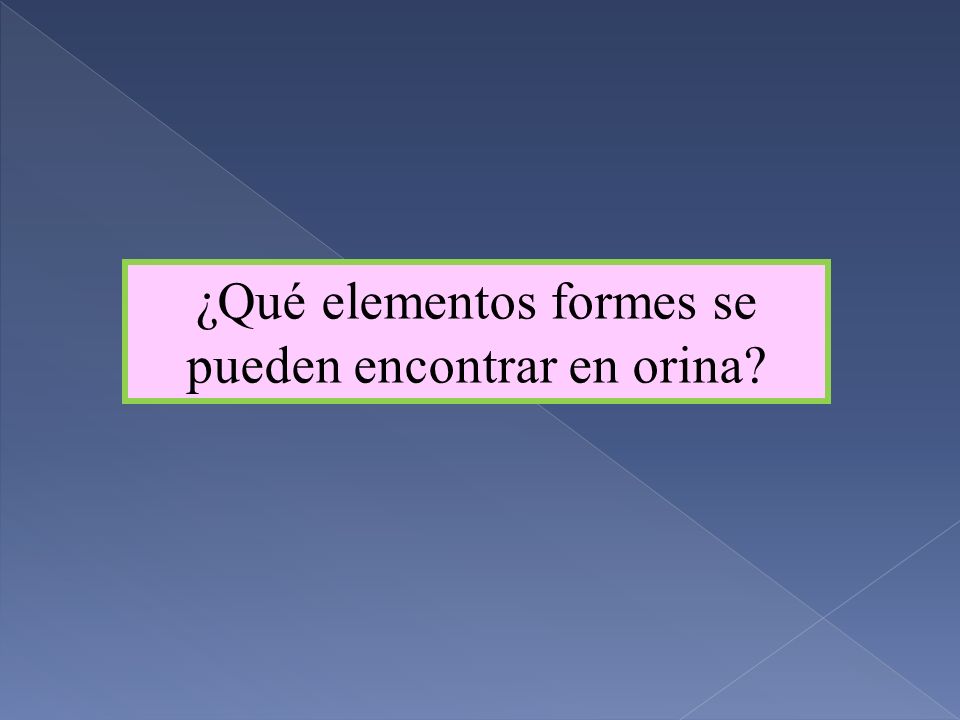 ¿Qué elementos formes se pueden encontrar en orina