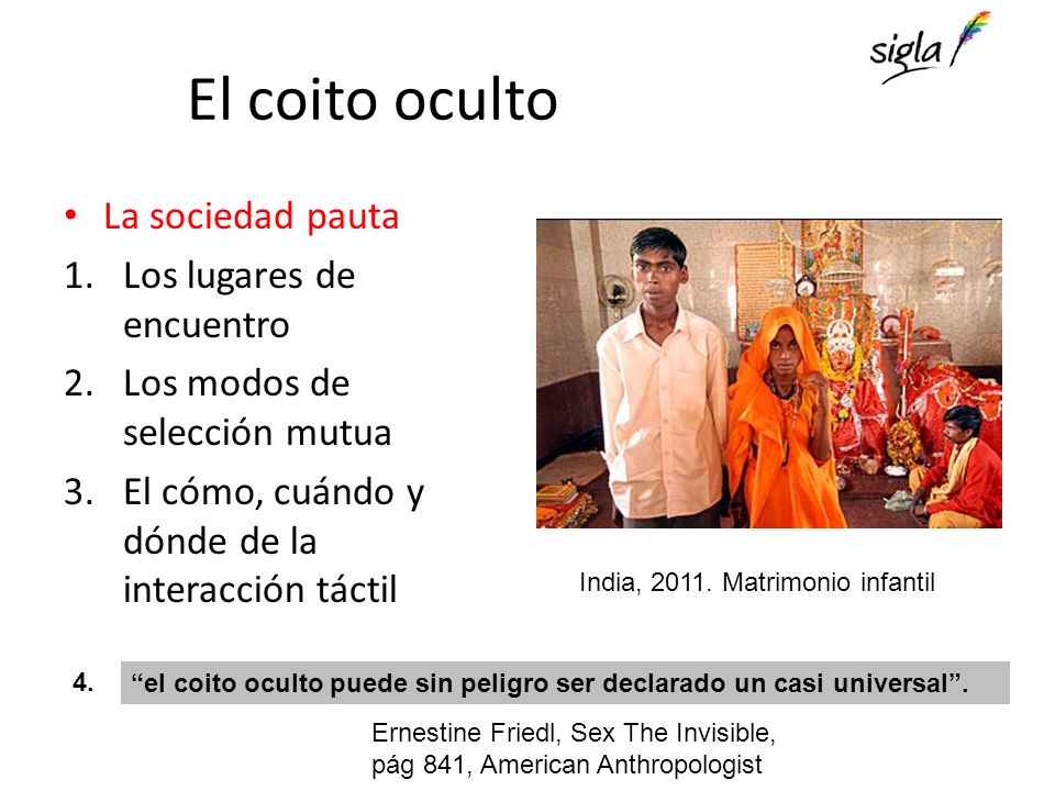 El coito oculto La sociedad pauta Los lugares de encuentro