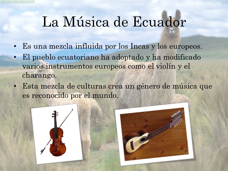 La Música de Ecuador Es una mezcla influida por los Incas y los europeos.