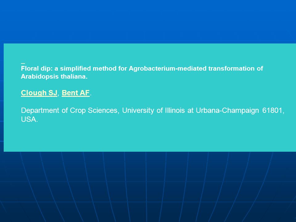 Floral dip: a simplified method for Agrobacterium-mediated transformation of Arabidopsis thaliana.