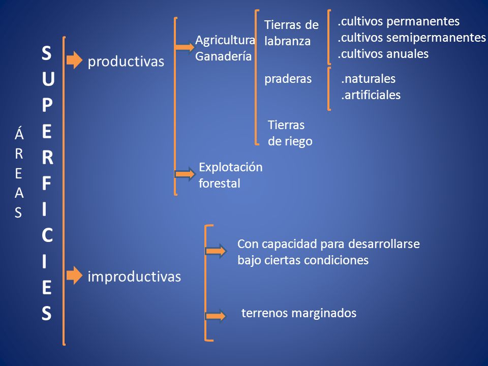 S U P E R F I C productivas Á R E A S improductivas