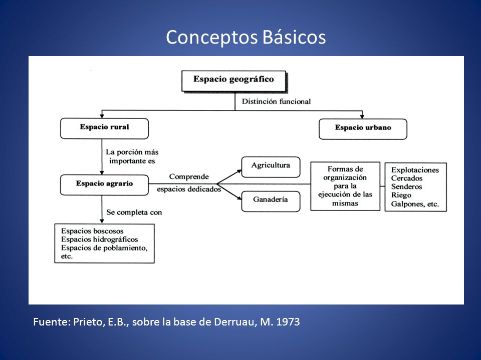 Conceptos Básicos Fuente: Prieto, E.B., sobre la base de Derruau, M. 1973