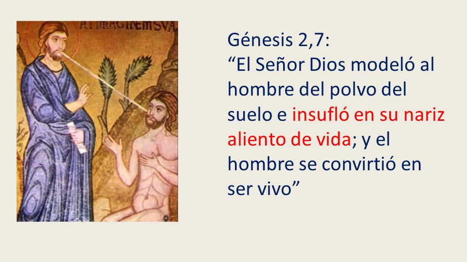 Génesis 2,7: El Señor Dios modeló al hombre del polvo del suelo e insufló en su nariz aliento de vida; y el hombre se convirtió en ser vivo