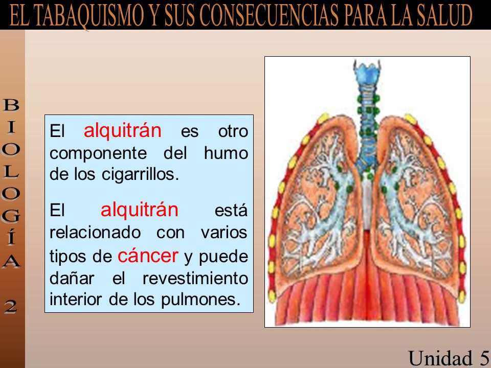 El alquitrán es otro componente del humo de los cigarrillos.