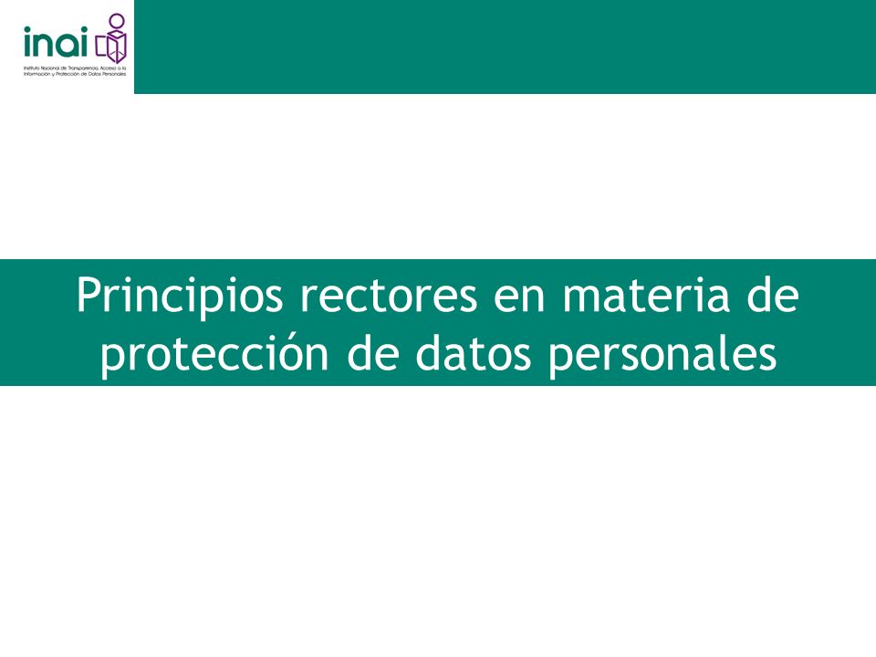 Principios rectores en materia de protección de datos personales