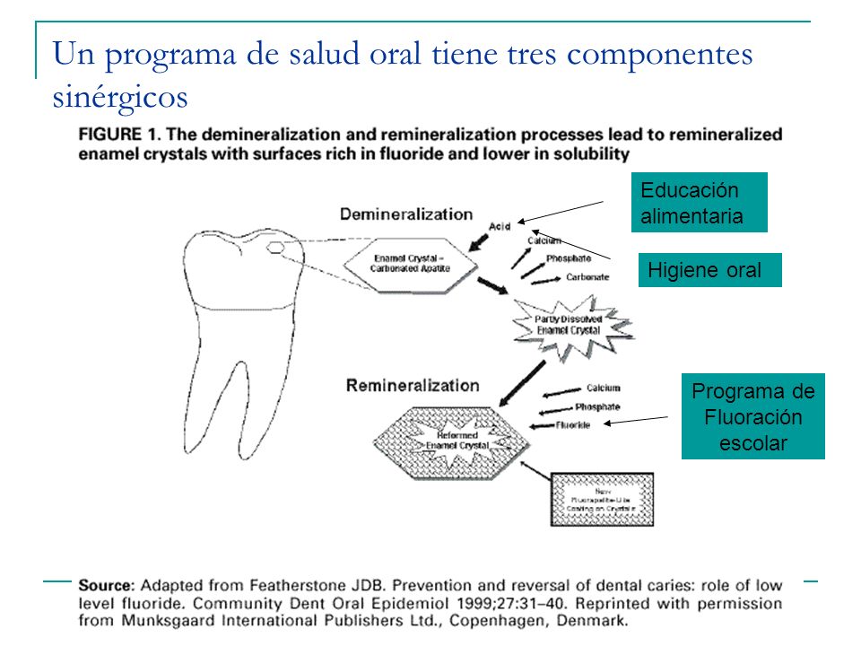 Un programa de salud oral tiene tres componentes sinérgicos