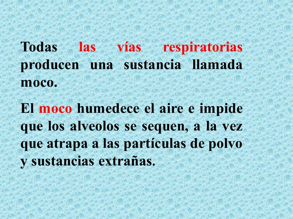 Todas las vías respiratorias producen una sustancia llamada moco.