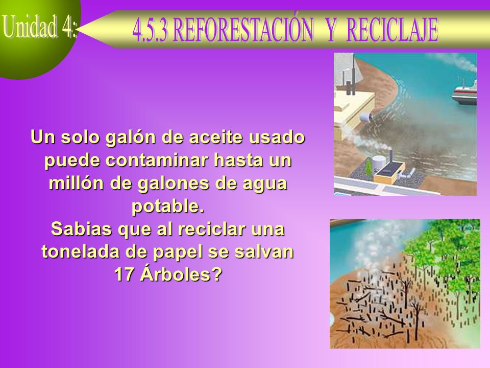 Sabias que al reciclar una tonelada de papel se salvan 17 Árboles