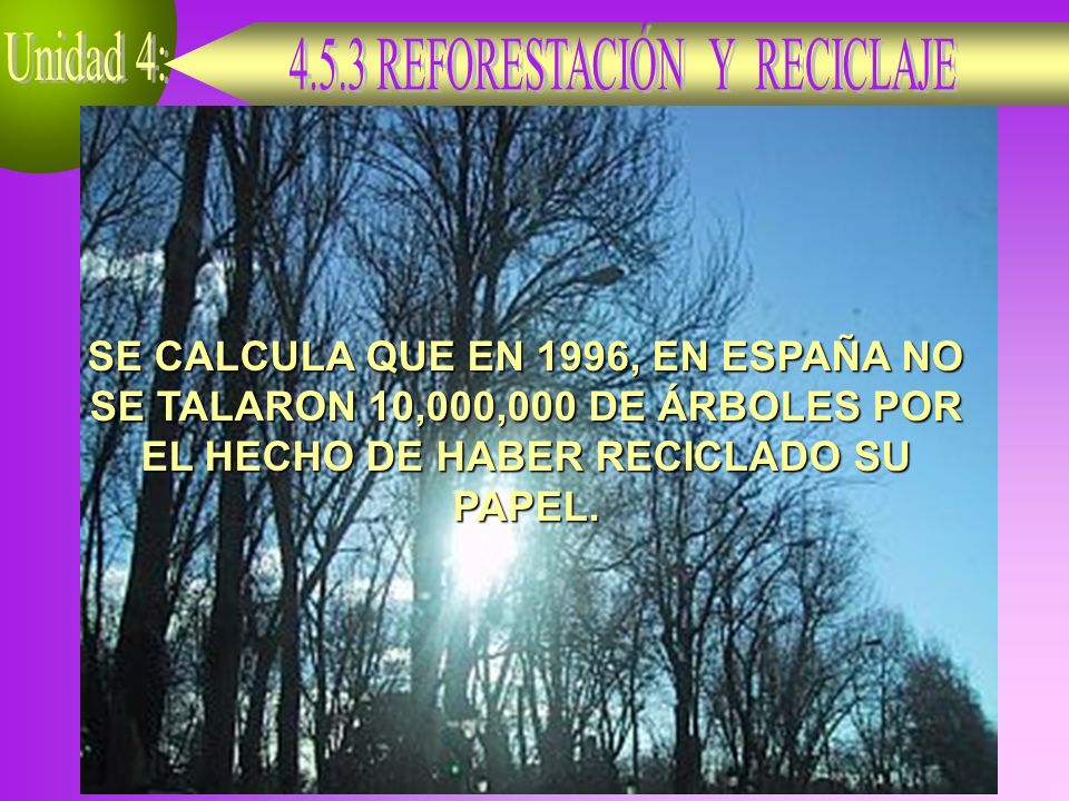 SE CALCULA QUE EN 1996, EN ESPAÑA NO SE TALARON 10,000,000 DE ÁRBOLES POR EL HECHO DE HABER RECICLADO SU PAPEL.